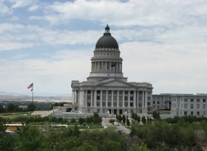 Avenues & Capitol Hill